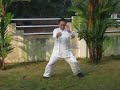 五祖拳 二十拳 twenty punches of wuzuquan