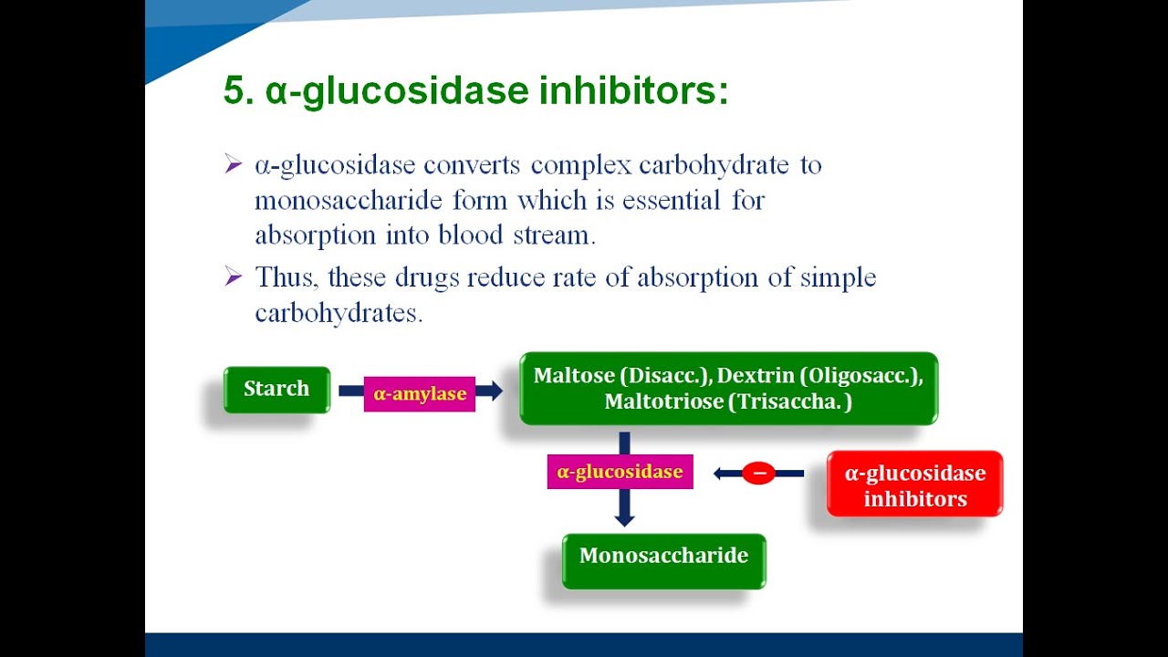 Antidiabetic Agents | Lecture 6 | Oral Hypoglycemic Drugs || By Prof. K ...