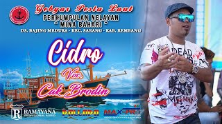 ● CIDRO ●  CAK BRODIN ● NEW PALLAPA BAJING MEDURO 2019 ●