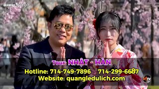 🔥Những Tour du lịch HOT nhất mùa thu 2025 cùng QUANG LÊ TRAVEL - du lịch, DUBAI, du lịch NHẬT HÀN,..