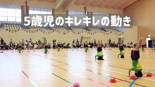 2023 Toriyama Kindergarten Sports Day 5-year-old children's game \