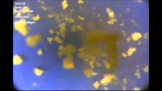 October 2015 Whipstock - Window Milling Operation