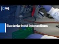 Bacteria-host interactions characterized by Biomimetic Materials | Protocol Preview