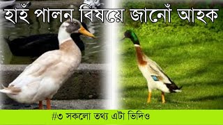 হাহঁ পালন বিষয়ে জানোঁ আহক ॥ বছৰি লাখ টকা উপাৰ্জন কৰক ২০২১