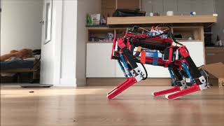 Quadruped Robot Acrobat