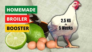 Broiler Growth Promoter - How to make your Broiler Chicken Grow Bigger Faster (Part 1)