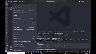 Learn Python with Visual Studio Code and Operators in Python - Lesson 2