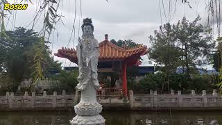 怡保霹雳洞鱼池Perak cave temple fish pond