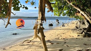 Discover the Hidden Secrets of Beachfront Real Estate in Vanuatu