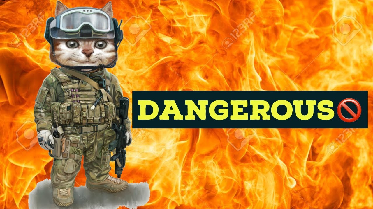 10 Most Dangerous Special Forces In The World!(2019) - YouTube