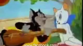 Zhalla Bobhata comedy video by cat--New Marathi Film 2017 Zala Bobhata | Zhala Bobhata