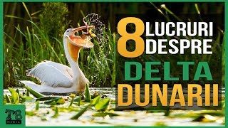 8 Lucruri interesante despre Delta Dunarii