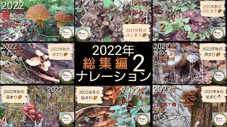 2022年 きのこ採り 総集編 第二部 ナレーション編 （ 秋きのこ 006 ～ 冬きのこ 009 迄 ）