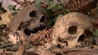 DNA to be used in one of Vancouver's most horrifying cold cases