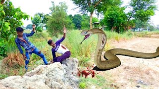 Anaconda Snake in Real Life HD Video 4