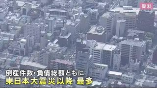 岩手県内２０２４年の企業倒産７６件　東日本大震災以降最多 (25/01/15 12:20)