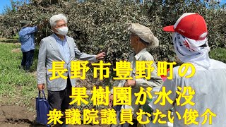 長野市豊野町の堤外地の果樹園が水没！　衆議院議員むたい俊介　令和3年8月20日