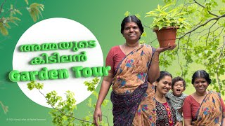 Garden കാഴ്ചകൾ| ചെടികൾ എങ്ങനെ അമ്മ പുതുമയോടെ നിലനിർത്തുന്നു??? 🌿