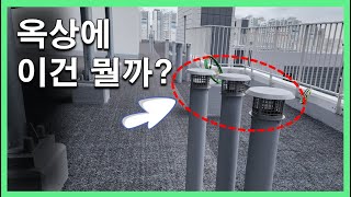 옥상에 이거? 화장실 냄새 해결사?