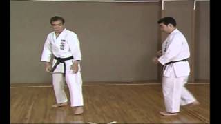 karate - Ju ippon kumite: 22 - 41