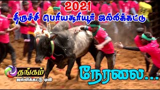 2021 Trichy Sooriyur jallikattu live Thangam Jallikattu TV Live Stream