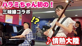 【ハラミちゃんコラボ】ぶっつけ本番！？津軽三味線で『情熱大陸』弾いてみた🍖🎹