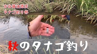 秋のタナゴ釣り（霞ヶ浦水系）