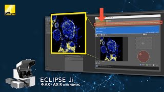 Step-By-Step Guide - Organoid Imaging Workflow | ECLIPSE Ji with AX Confocal System