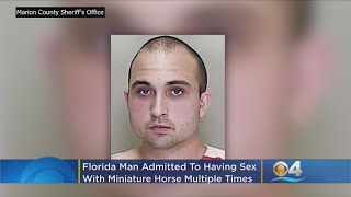 Florida Man Arrested For Having Sex With Miniature Horse On Multiple Occasions