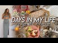 DAYS IN MY LIFE | home decor shopping, antique haul, getting out of a funk, & cooking new meals!