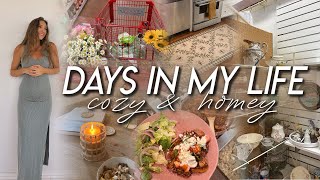DAYS IN MY LIFE | home decor shopping, antique haul, getting out of a funk, & cooking new meals!