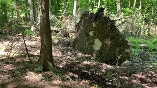 Farmi Winch Flopping Huge Stump