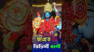 জাগ্রত মা ভিড়িঙ্গী কালী | ভিড়িঙ্গী কালী মন্দির | #shorts #viral #trending #kalipuja