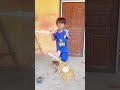 köpüsüm havuza kaacti ya🤣 müzik tiktok dans şarkı köpek havuz