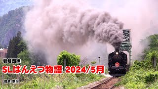 磐越西線「SLばんえつ物語」2024/5月 福島・新潟