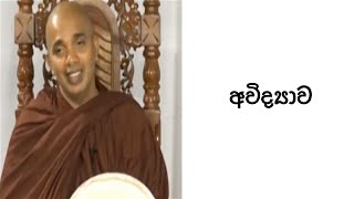 Ven.Ududumbara Kashyapa Thero -Nivan Maga - අවිද්‍යාව