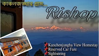 Rishop Tour Plan | Kanchenjungha View Homestay | Tiffindara Trek | Lava | Paparkheti