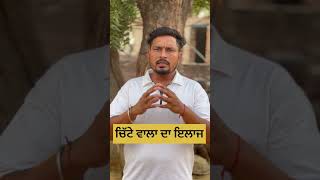 ਚਿੱਟੇ ਵਾਲਾ ਦਾ ਇਲਾਜ #video #motivation #agriculuture #fashiontrends #viralvideo #punjabi #punjabikisa