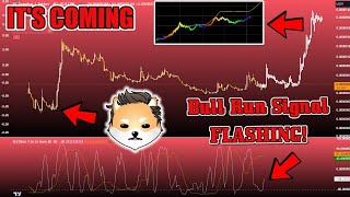 The TRUTH About Dogelon Mars BULL RUN PUMP!? Dogelon Mars BULL RUN Pump Coming!? ELON Analysis Today