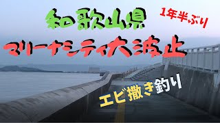 #130【エビ撒き】マリーナシティ大波止でエビ撒き釣り　タナは底？