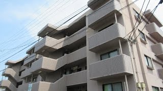 エンジェリック加納 ペット可1ＬＤＫ賃貸マンション 宮崎市清武町加納 【不動産のリーラボ】