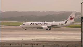 日本航空「JAL」ボーイングB737-800（JA343J）　【岡山桃太郎空港】