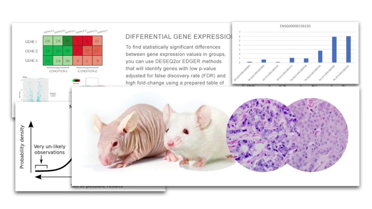 Transcriptomics 2 Summary Presentation Youtube