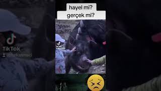 sizce bunlar gerçek olabilirmi?