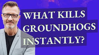 What kills groundhogs instantly?