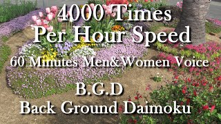 Men＆Women Voice Daimoku. 60 Minutes Long. 4000 Times Per Hour Speed. Nice Support For Your Chanting.