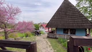 Старе село біля замку Ужгорода.🌞