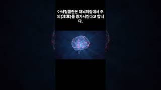 신경전달물질 중 아세틸콜린(Acetylcholine, ACh)