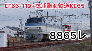 8865レ EF66-119+衣浦臨海鉄道KE65   西岐阜〜穂積間　#貨物列車 #ef66100番台 #貨物