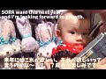 【赤ちゃん 生後９ヶ月】子連れ東京ディズニーシー ダッフィー尽くし【成長記録】